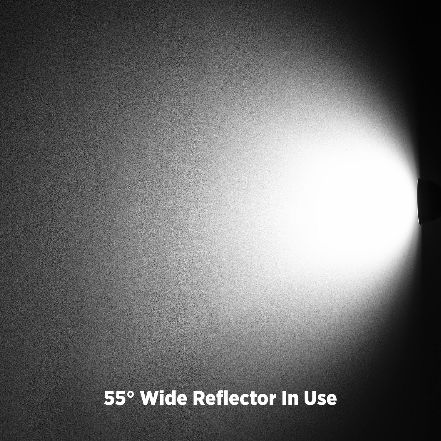 55-Degree Wide Umbrella Reflector with Honeycomb Grids (FJ800, FJ400, FJ400 II, FJ400-SE, FJ250, Bowens)