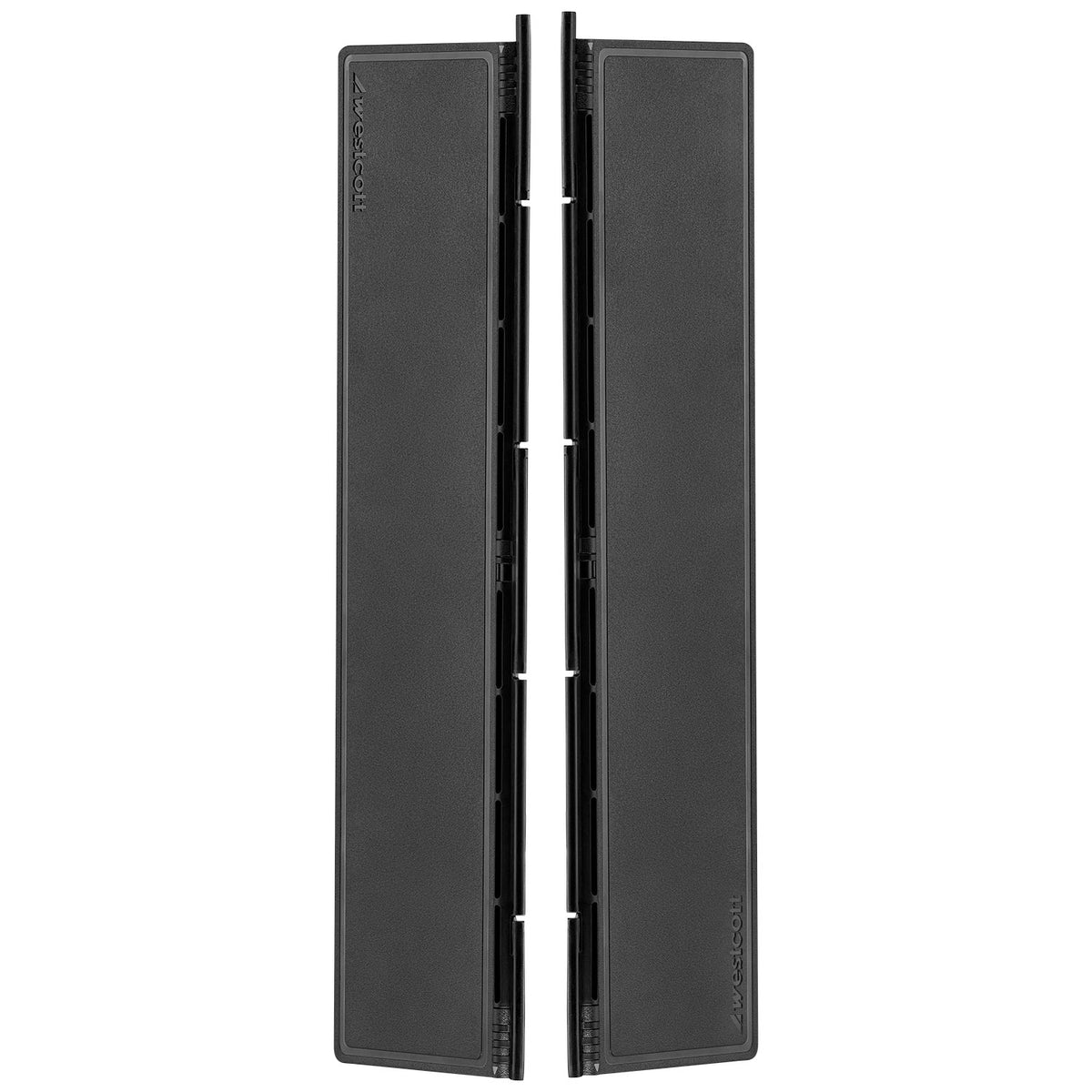 Ice Light 3 Barndoors