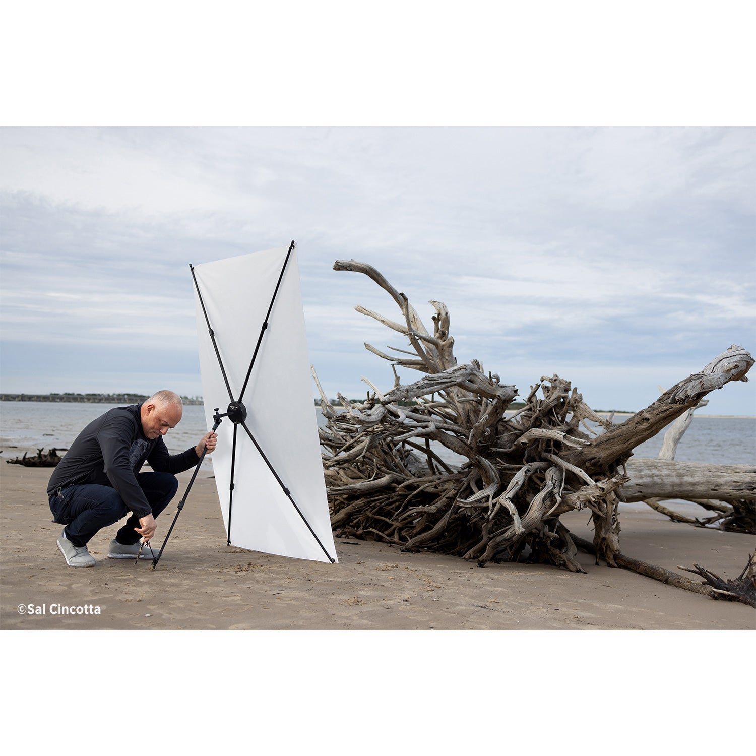 Fusion 10-in-1 Light Control System by Sal Cincotta