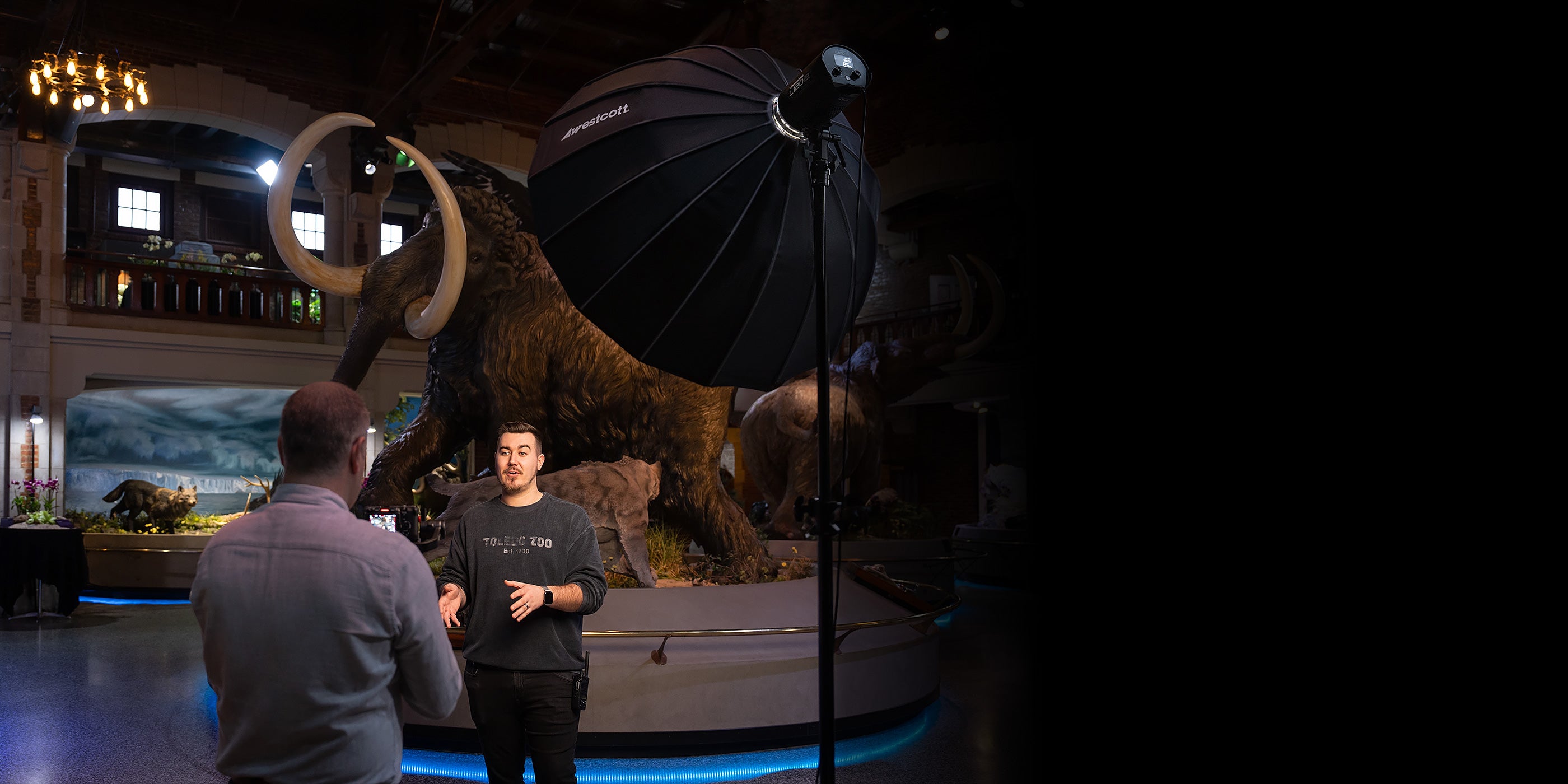 L-Series LED Video Lights on Set